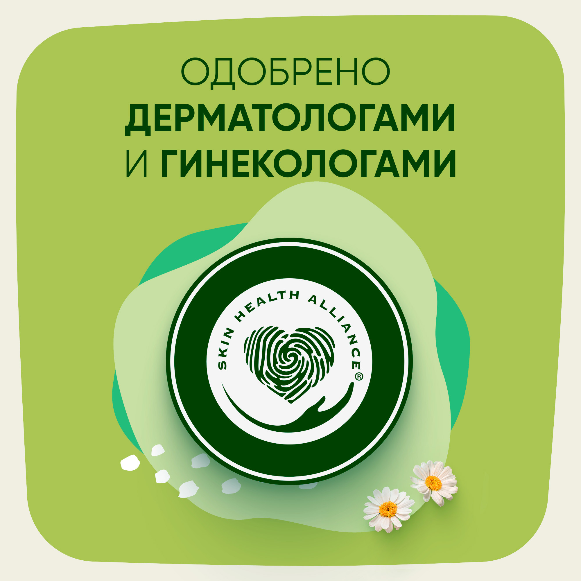 Прокладки гигиенические NATURELLA Camomile Normal Ultra - фото 12