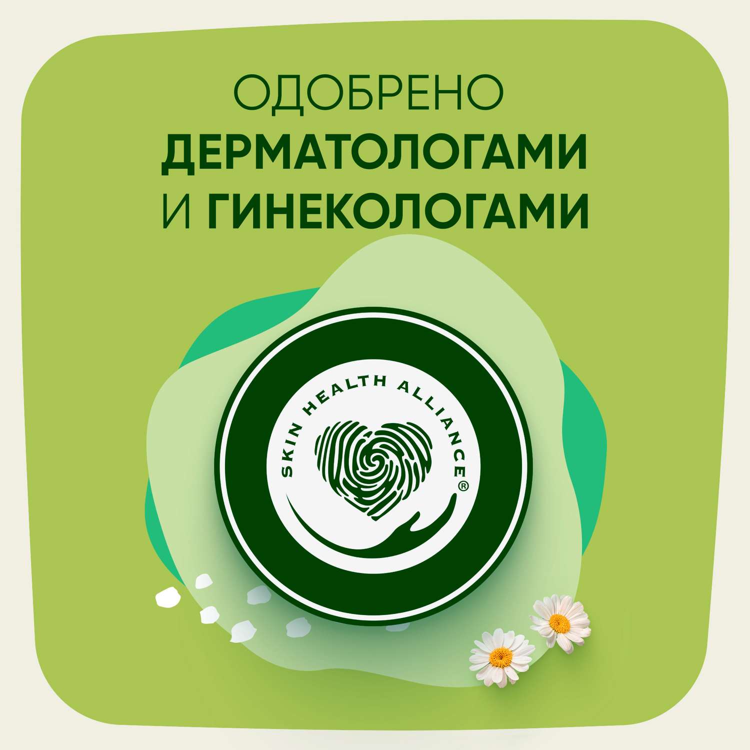 Прокладки гигиенические NATURELLA Camomile Normal Ultra - фото 12