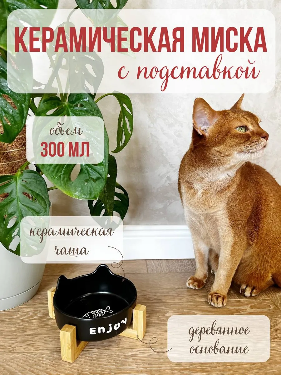 Миска для кошек и собак Qalla на подставке - фото 1