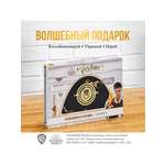 Игровой набор PMI Маховик Времени