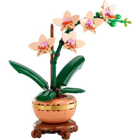 Конструктор LEGO Botanicals Мини-орхидея блочный