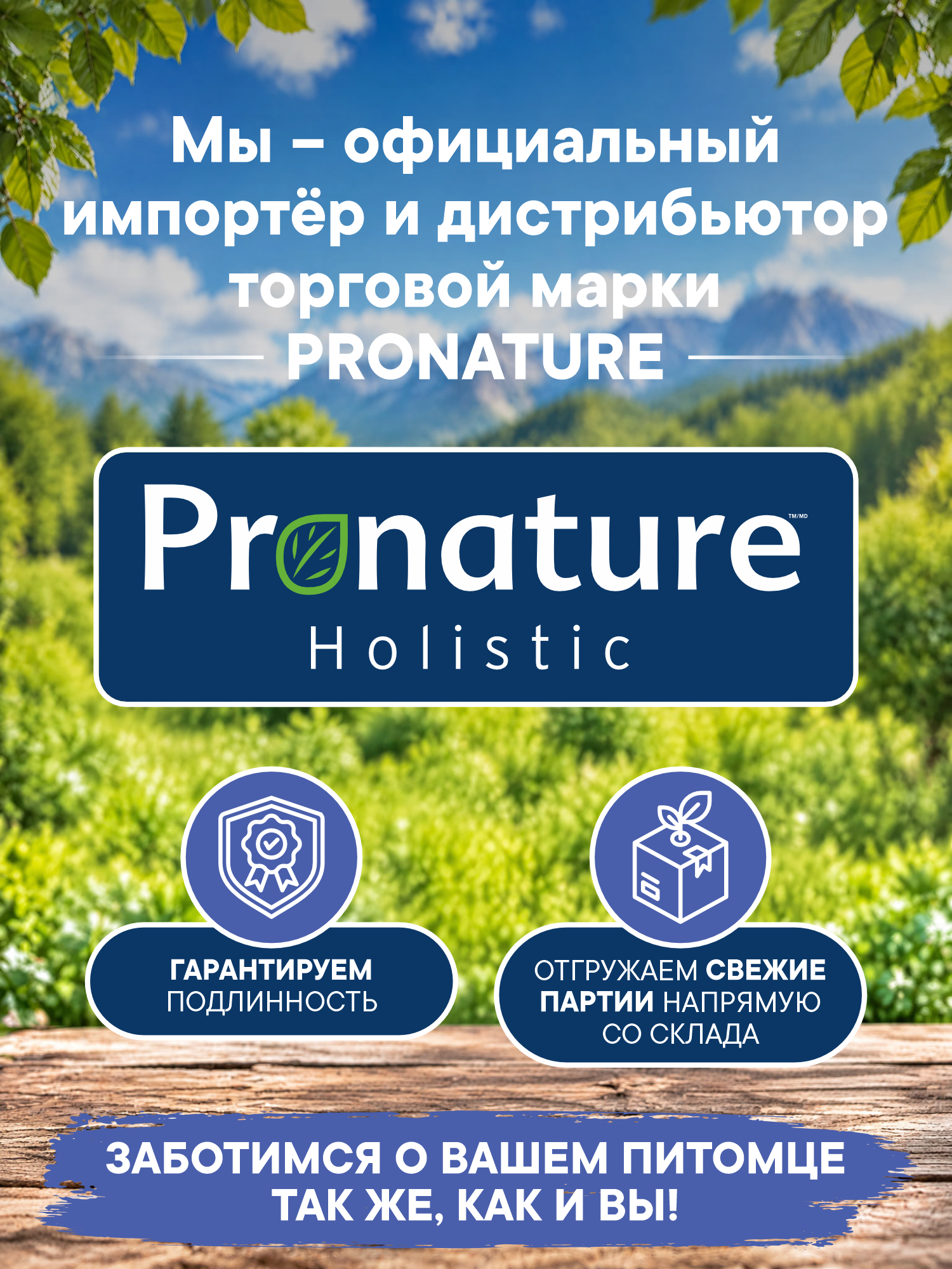 Корм для кошек сухой Pronature Holistic Atlantic для кожи и шерсти на лососе с рисом 340г - фото 7
