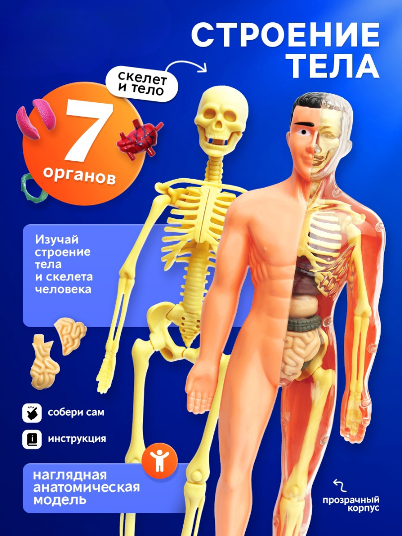 Эврики - фото 1