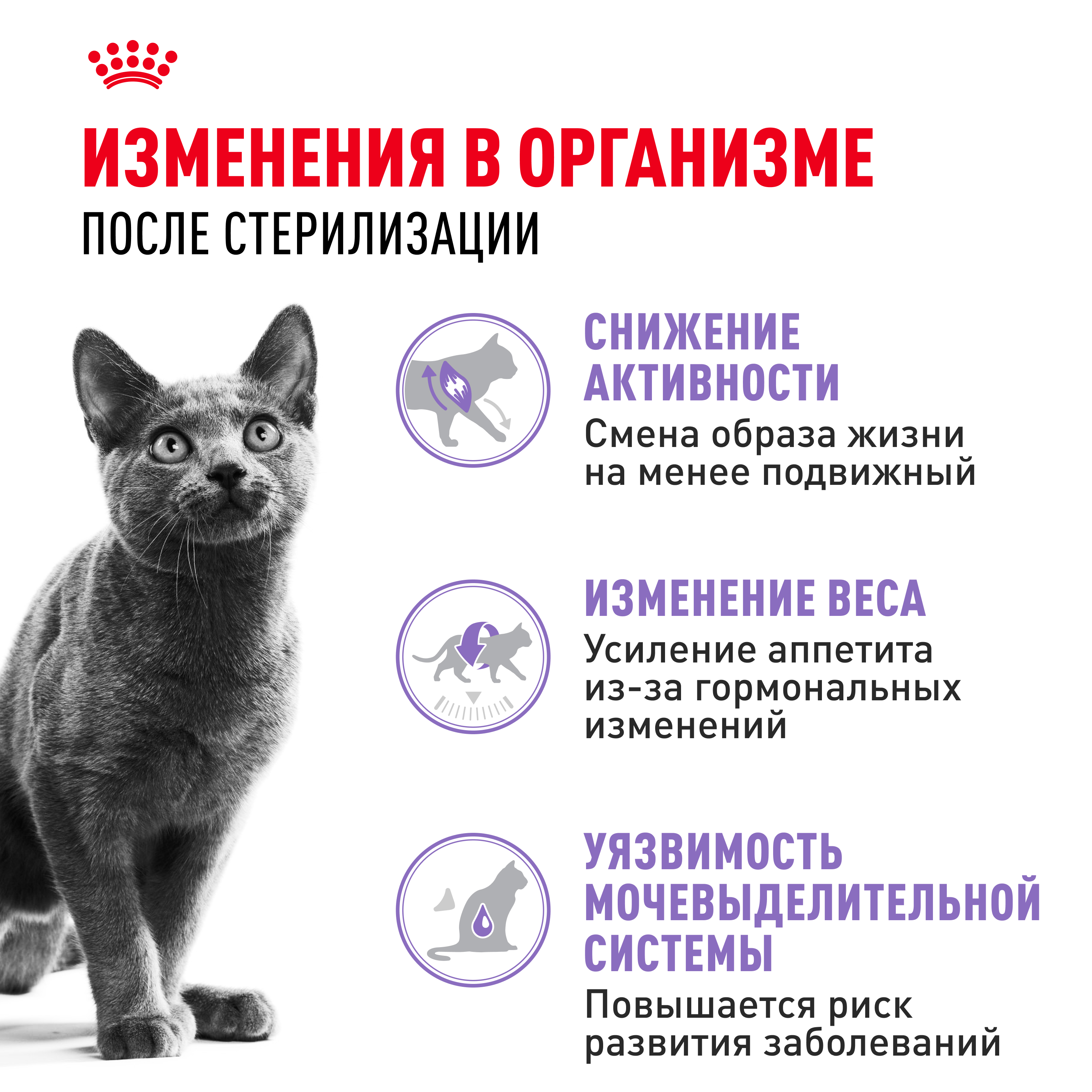 Корм сухой ROYAL CANIN Sterilised 37 2кг для стерилизованных кошек - фото 10