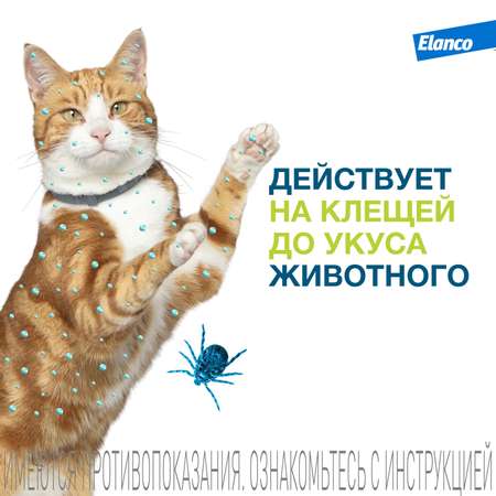 Ошейник для кошек Elanco Foresto от блох и клещей защита 8месяцев 38см 65232