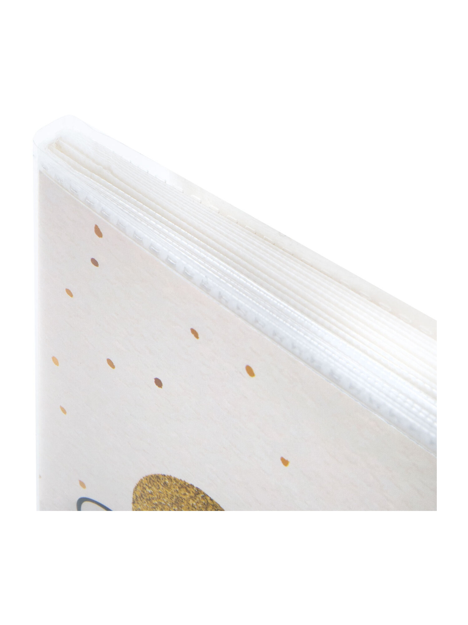 Фотоальбом для фотографий Brauberg семейный детский 36 фото 10х15 - фото 9