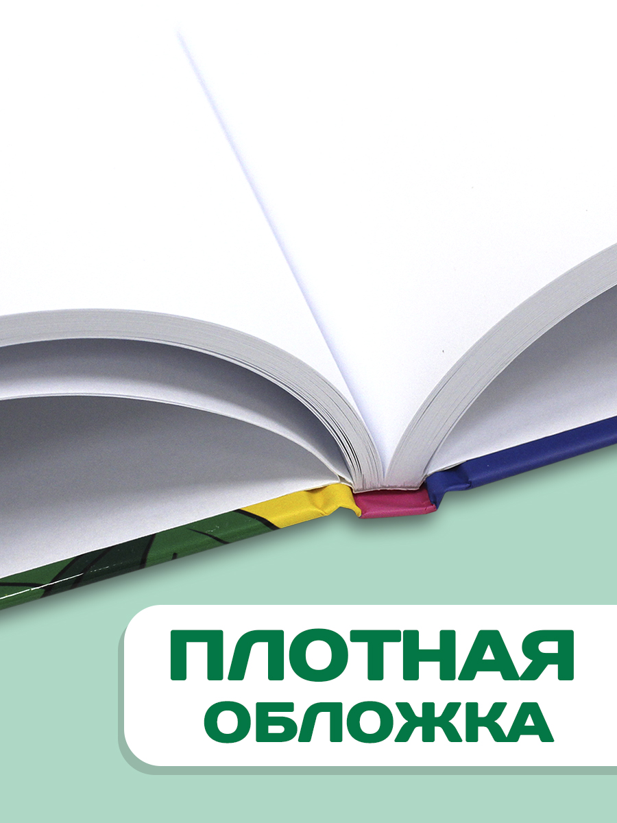 Скетчбук Проф-Пресс Аниме Краш А4 64 лист. 1 шт. - фото 4