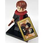Фигурка LEGO Minifigures colhp2-8