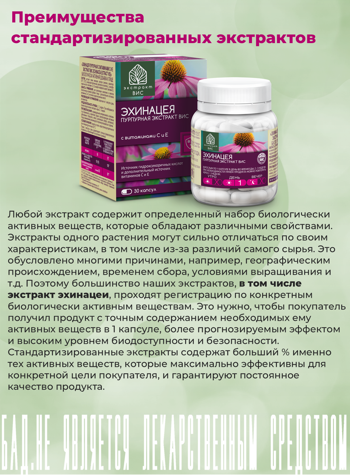 БАД Экстракт-ВИС Эхинацея пурпурная с витаминами С и Е - фото 11