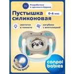 Пустышка Canpol Babies силикон
