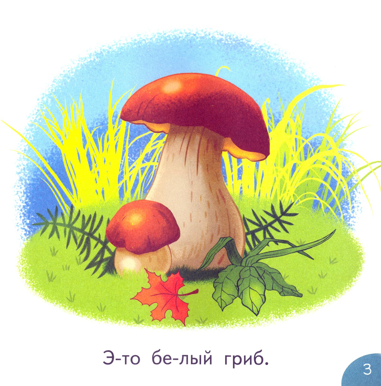 Книга Качели Вот это да! - фото 5