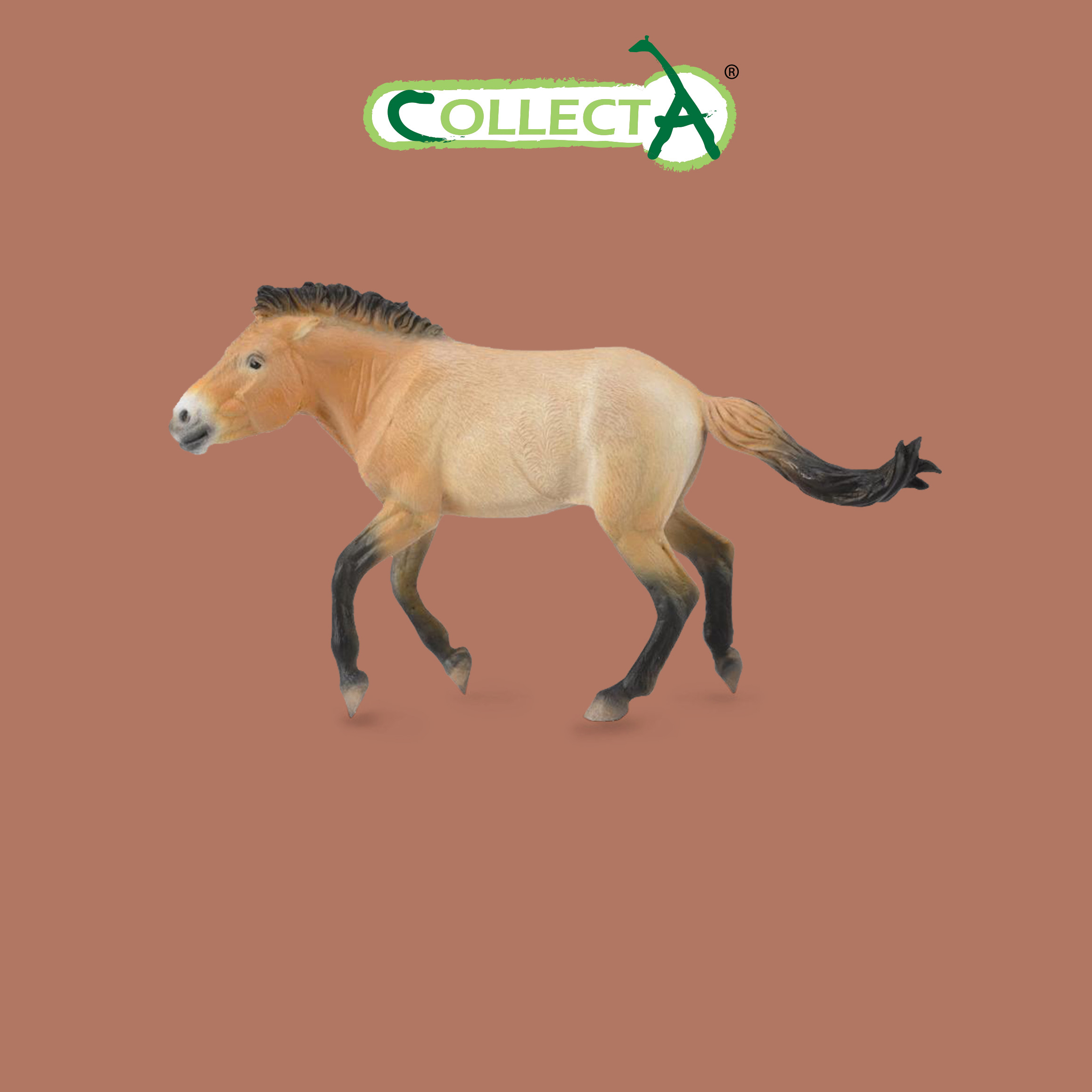 Игровой набор Collecta Жеребец Пржевальского - фото 1