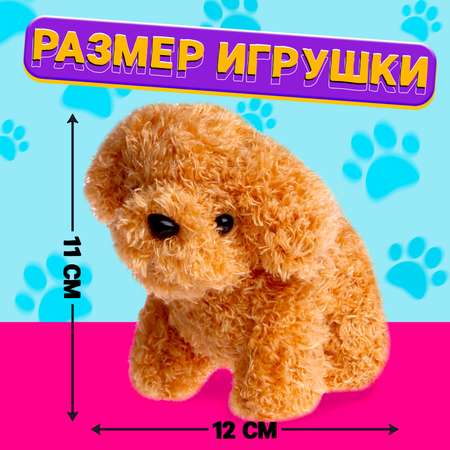 Подарочный набор Happy Valley «Милый питомец»