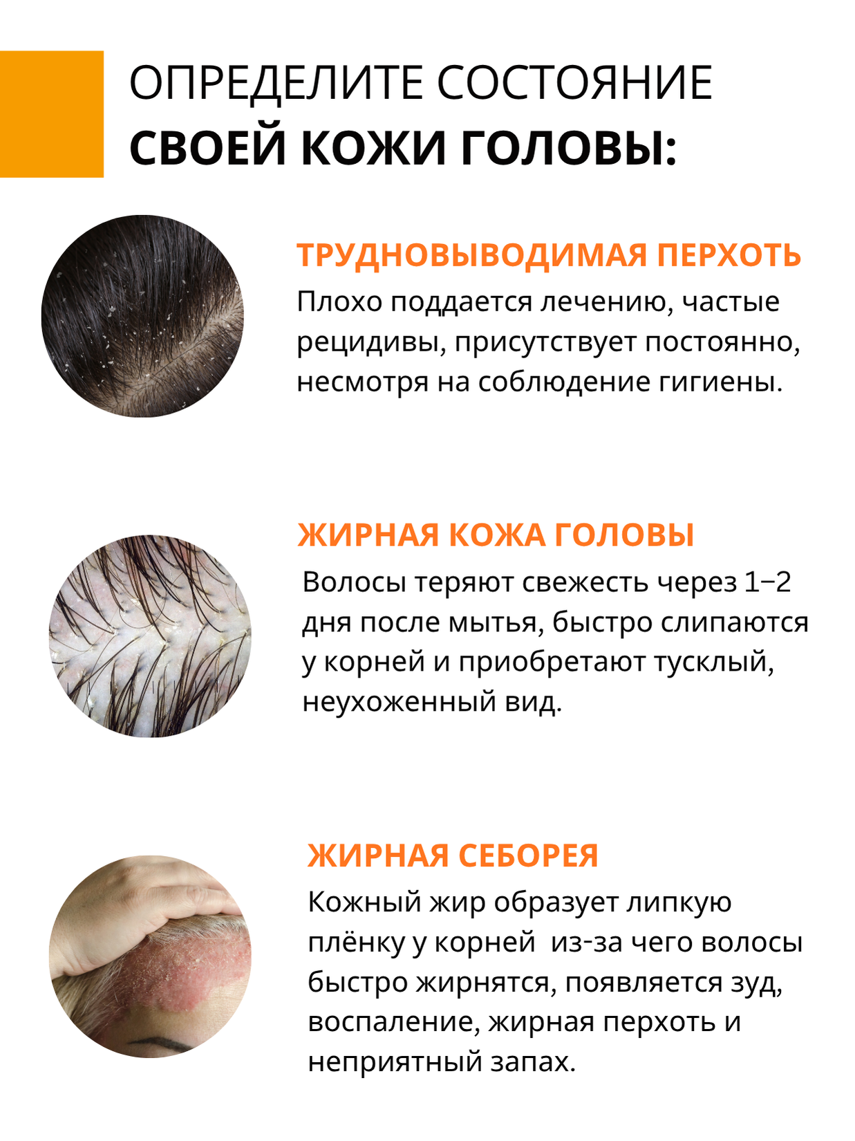 Шампунь DR. MARCUS HEILER 250 мл - фото 2