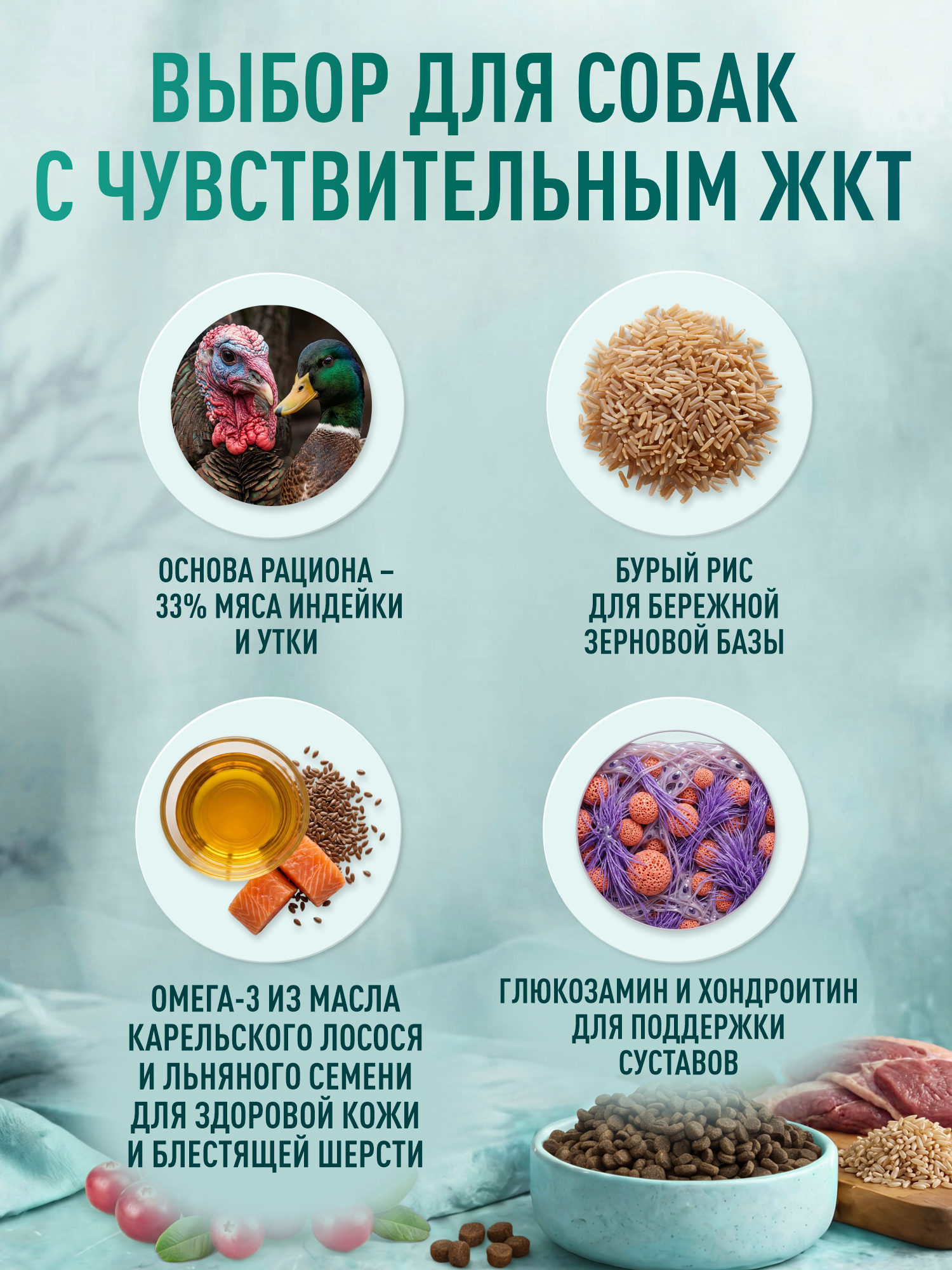 Корм для собак мелких сухой Clan Classic Sensitive 24/11 с чувствительным пищеварением утка с бурым рисом 18кг - фото 2