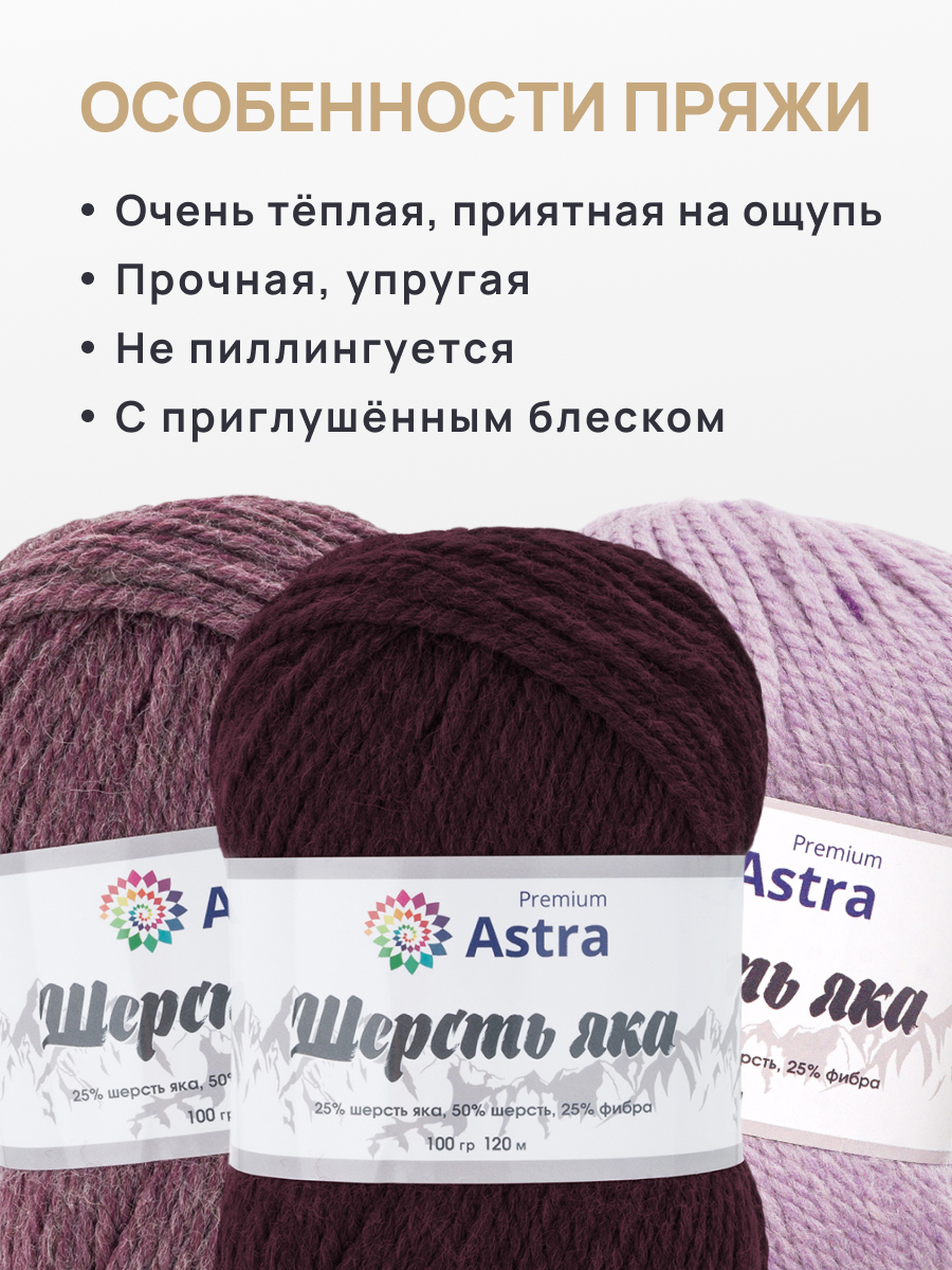 Пряжа для вязания Astra Premium красно-коричневый 100г 120м 2шт - фото 3