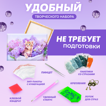 Алмазная мозаика Solmax Лавандовый котенок