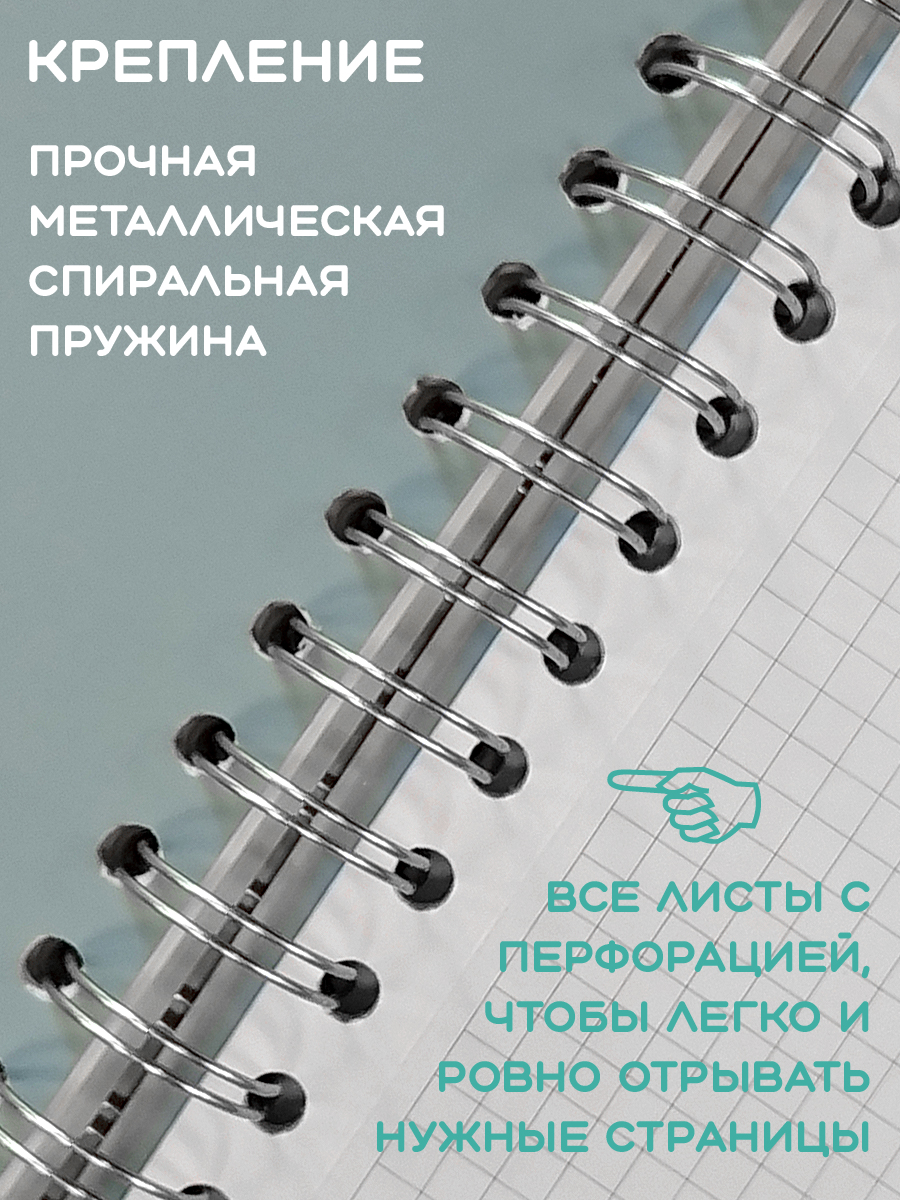 Общая тетрадь KEYROAD клетка 96 лист. - фото 3