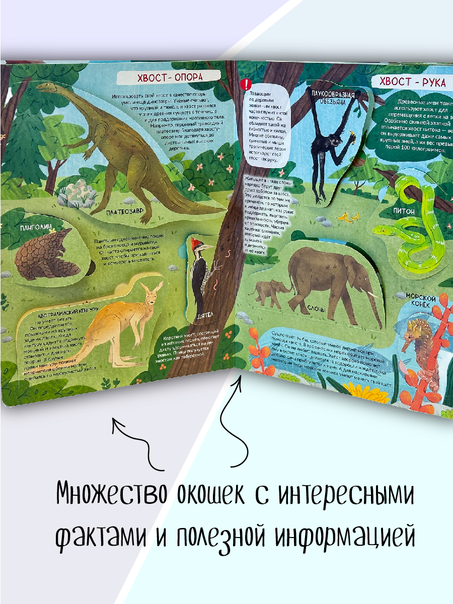 Энциклопедия с окошками БимБиМон Книга детская энциклопедия с окошками Виммельбух - фото 4