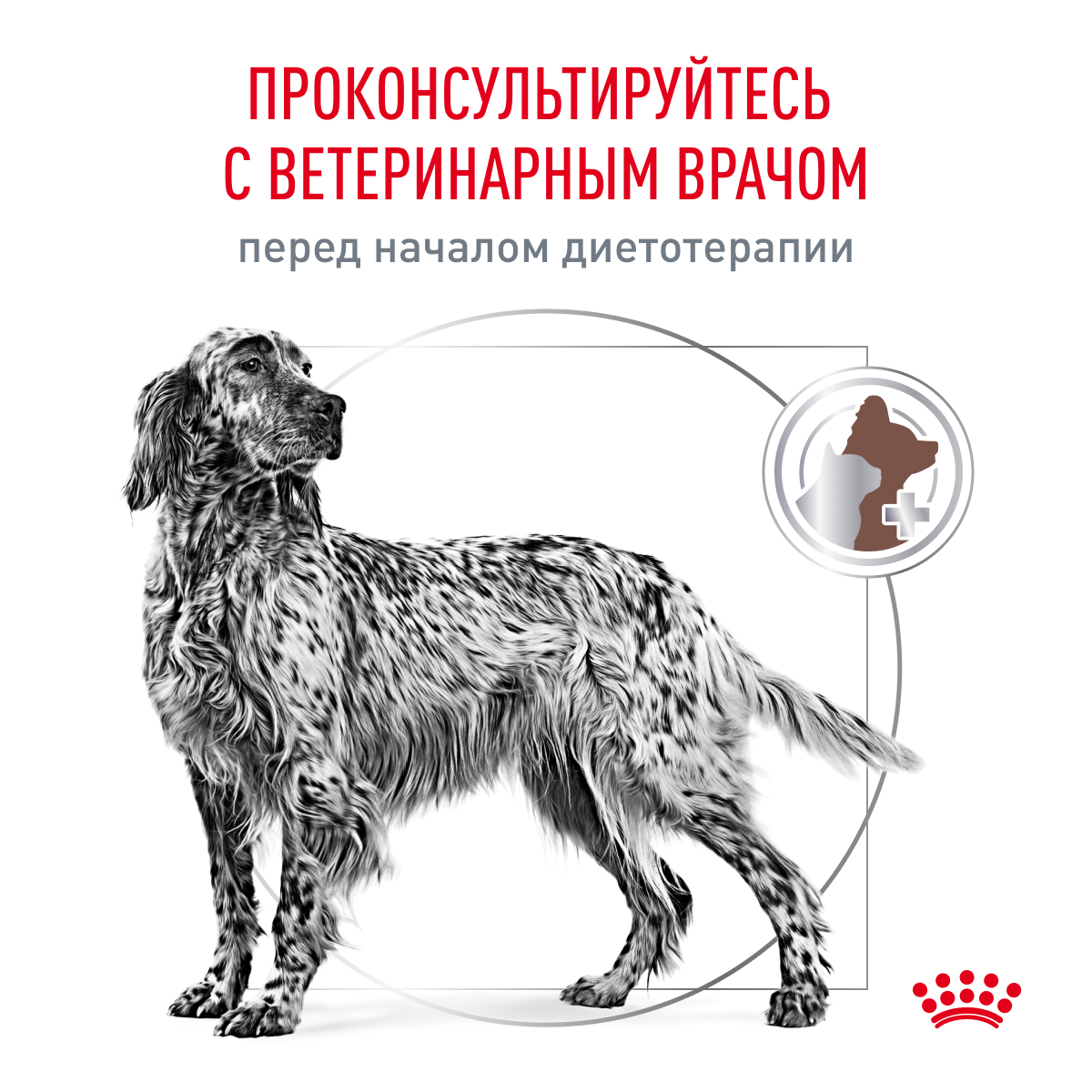 Корм для собак ROYAL CANIN Gastro Intestinal GI25 при нарушениях пищеварения 2кг - фото 9