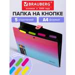 Папка-органайзер Brauberg розово-голубой градиент А4