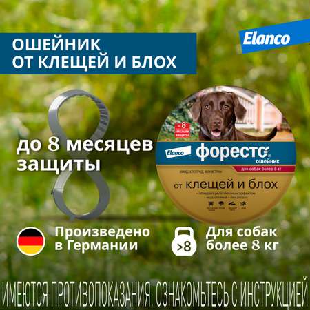 Ошейник для собак Elanco Foresto более 8кг от блох и клещей защита 8месяцев 70см 65494