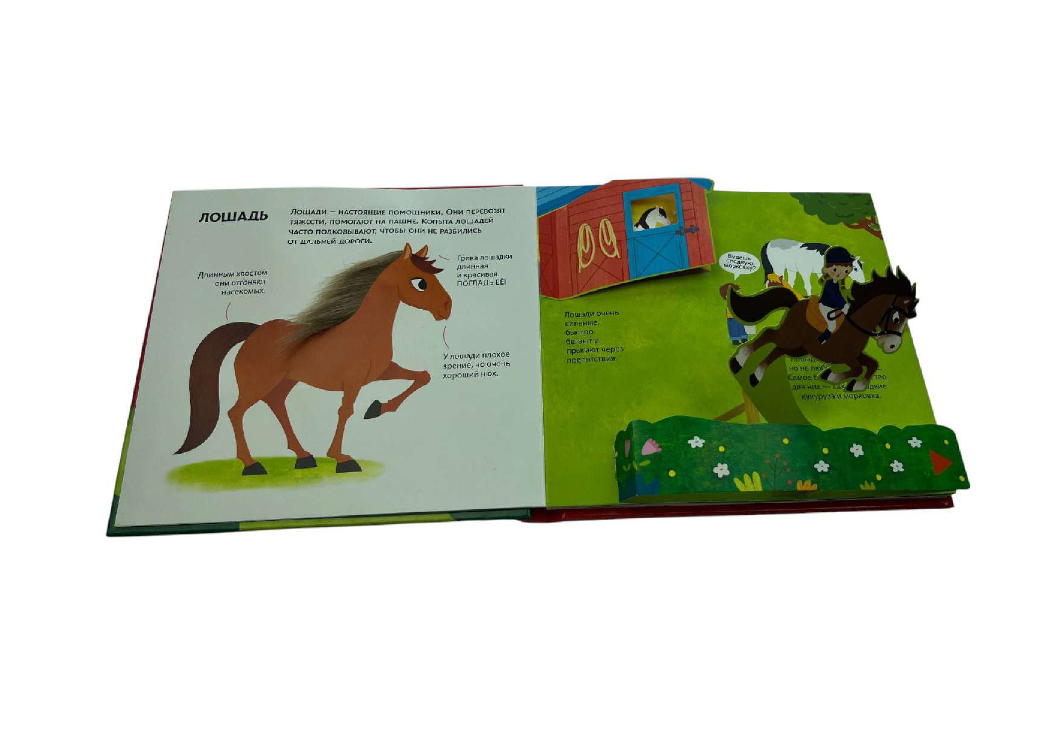 Книга Эксмо Животные фермы. Тактильная книга-панорамка - фото 4