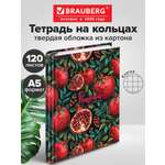 Тетрадь Brauberg клетка 120 лист.