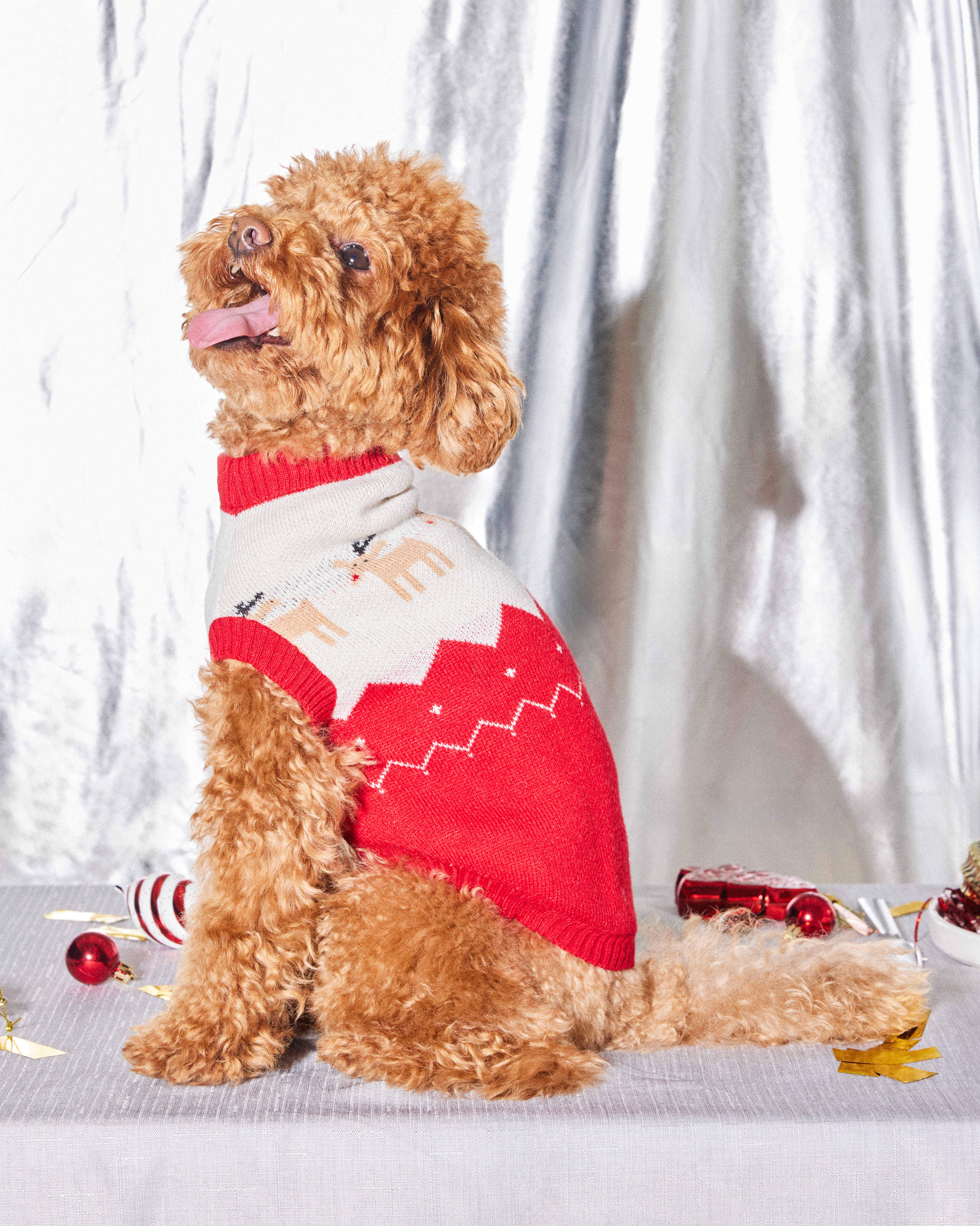 Джемпер для собак и кошек Зоозавр - фото 1