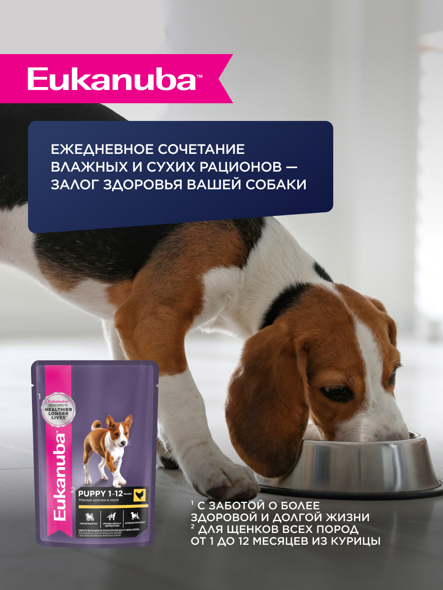 Корм для собак Eukanuba 800г Паппи МедиумБрид 12м - фото 6