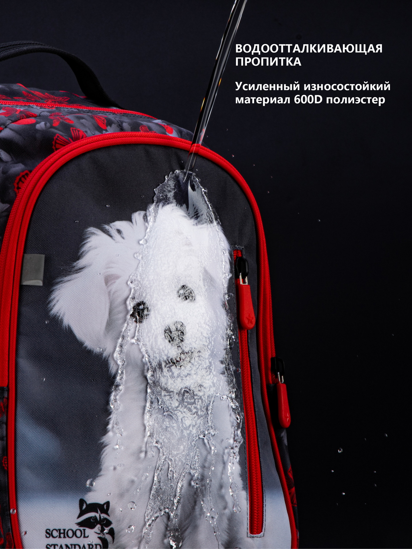Рюкзак School Stantard - фото 13
