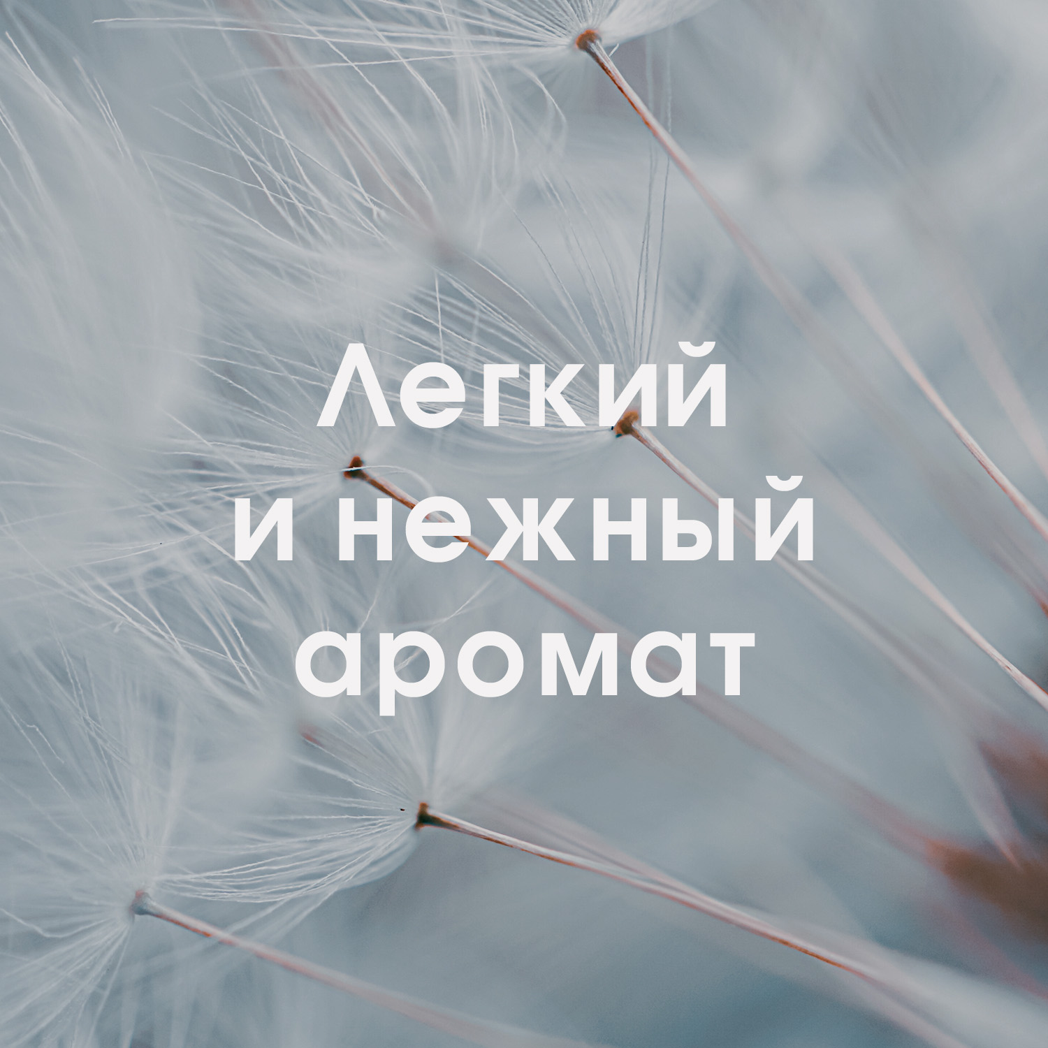 Гель для интимной гигиены Lactacyd УВЛАЖНЯЮЩЕЕ - фото 5