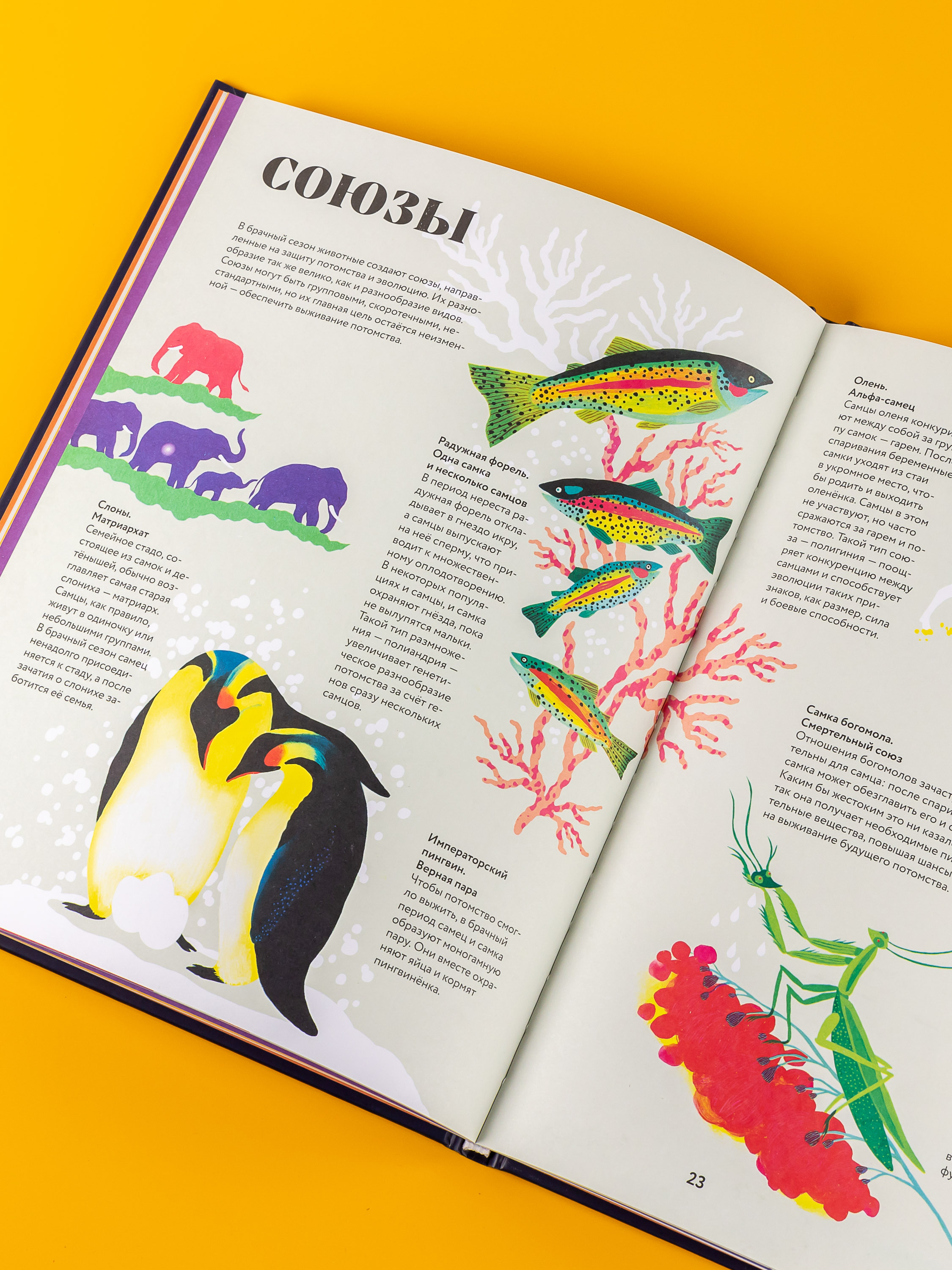 Книга Альпина. Дети Чудесная жизни - фото 8