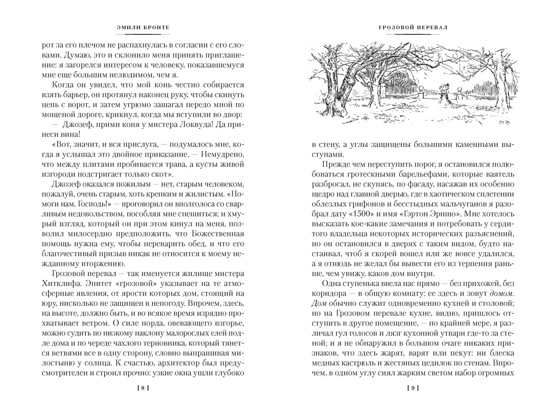 Книга АЗБУКА Грозовой перевал Стихотворения с илл - фото 11