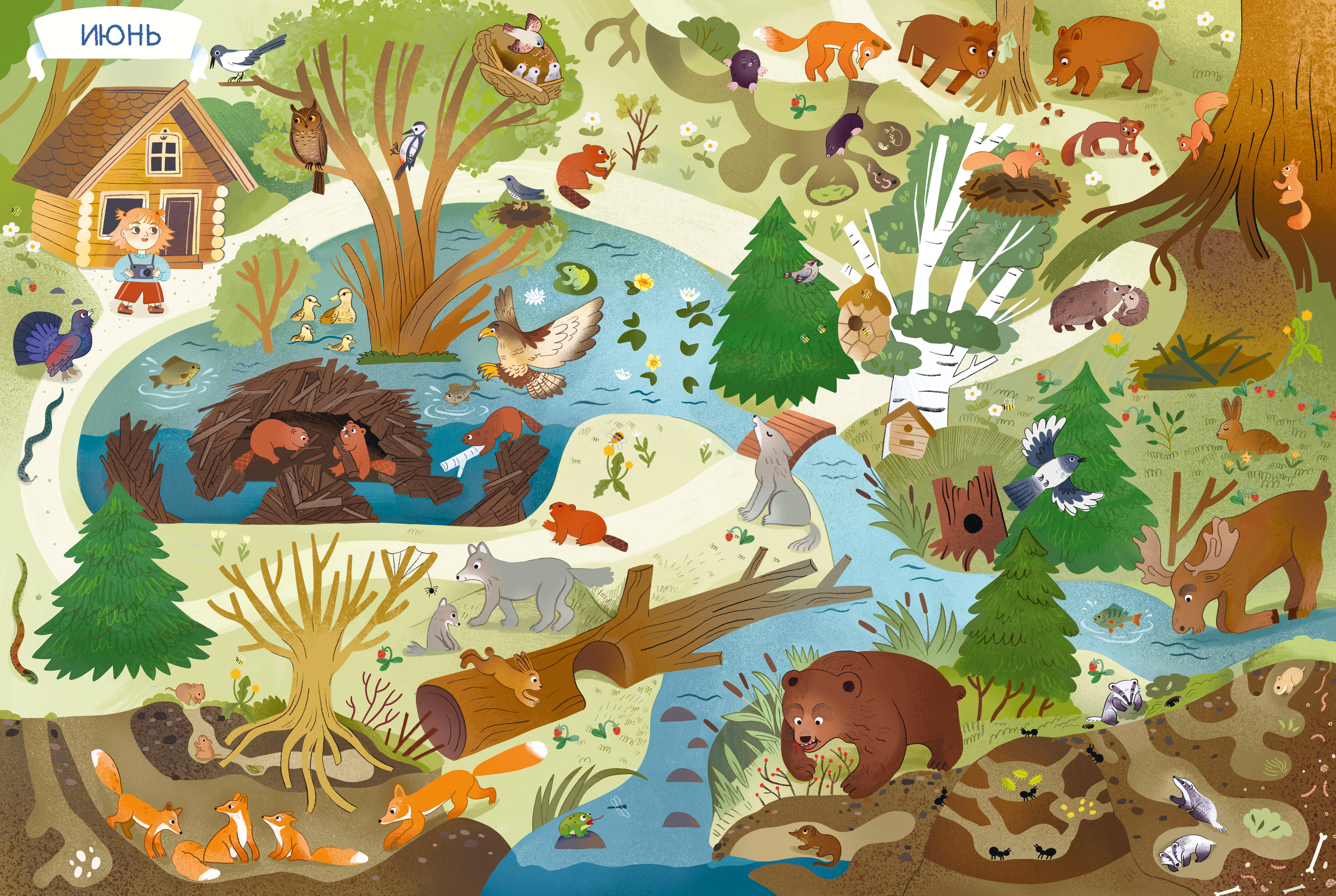 Книга Clever Виммельбух - фото 4