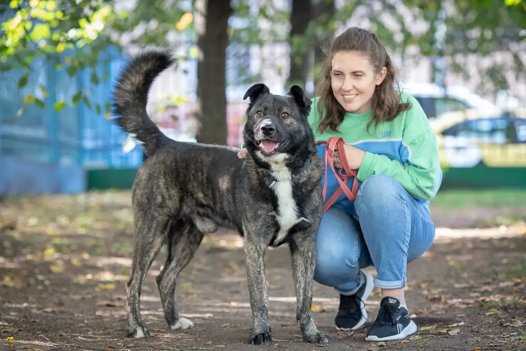 Собака Чарлик - фото 3