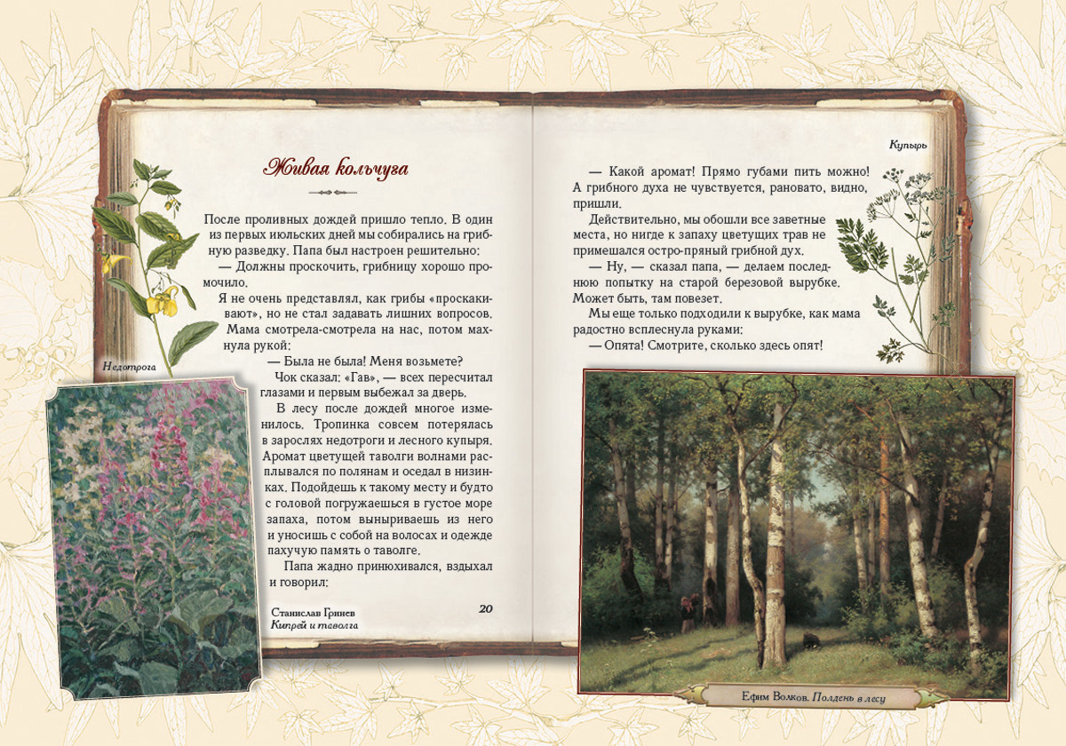 Книга Белый город Солнце для кузнечиков. Олеськины рассказы - фото 3