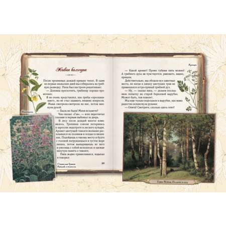 Книга Белый город Солнце для кузнечиков. Олеськины рассказы