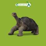 Фигурка Collecta Абингдонская слоновая черепаха