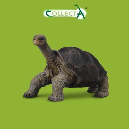 Фигурка Collecta Абингдонская слоновая черепаха