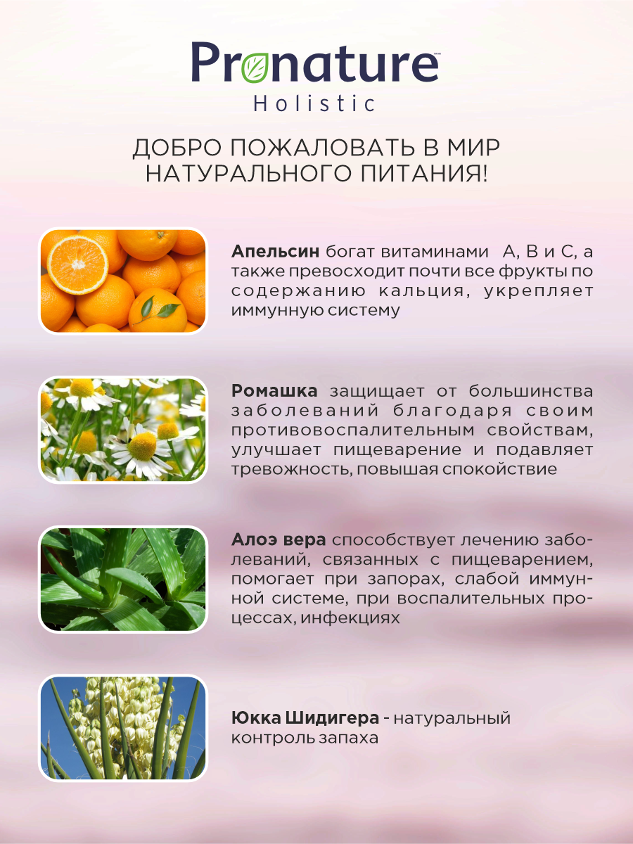 Корм для кошек сухой Pronature Holistic Pan-Asia Grain Free беззерновой на утке с апельсином 340г - фото 3
