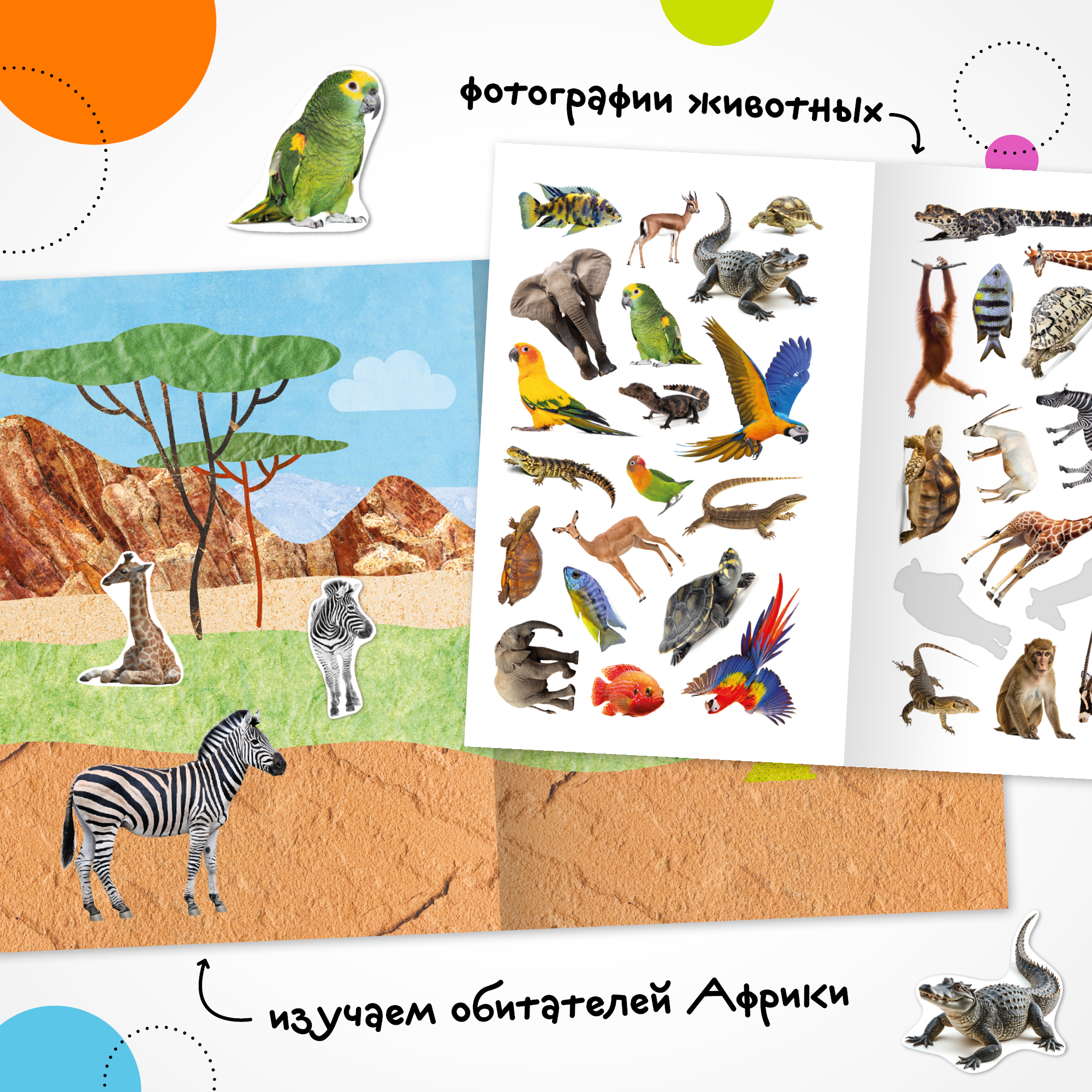 Книга МОЗАИКА kids Фотонаклейки В Африке - фото 2