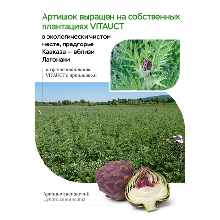 БАД VITAUCT Артишок Адванс с лецитином