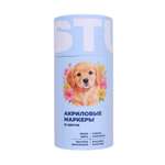 Маркеры Erhaft акриловые 20 шт.