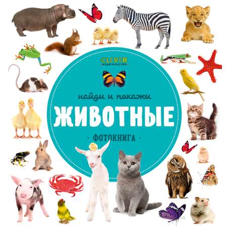 Книга Clever Издательство Найди и покажи. Фотокниги. Животные