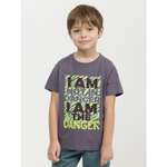 Футболка Pelican