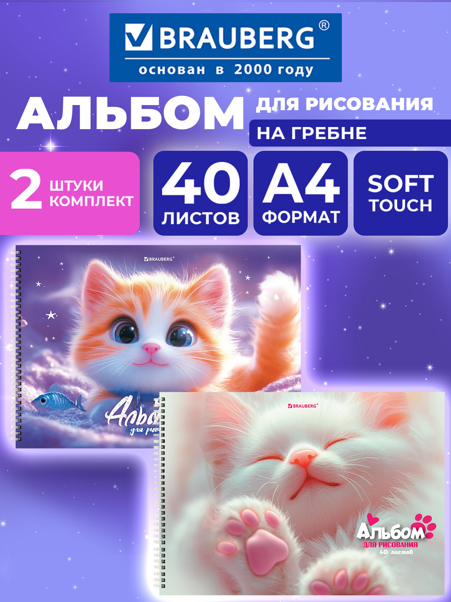 Альбом Brauberg А4 40 лист. 2 шт. - фото 1