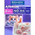 Альбом Brauberg А4 40 лист. 2 шт.