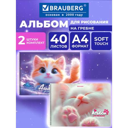 Альбом Brauberg А4 40 лист. 2 шт.