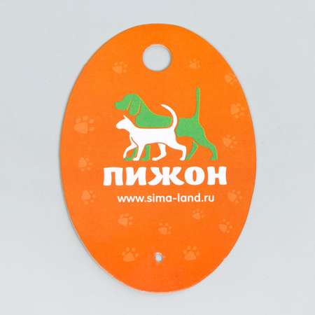 Игрушка для собак Пижон светящийся в темноте шар с полосками